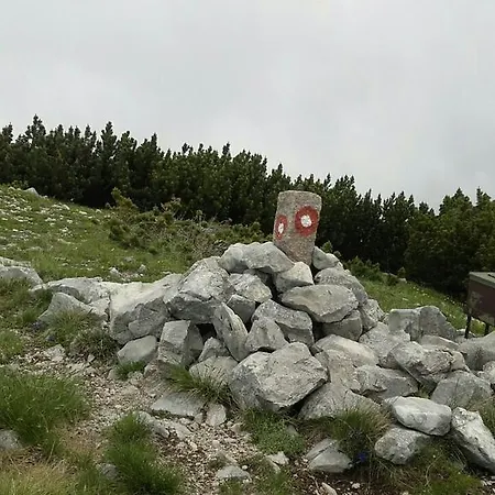 Dom wakacyjny Vikendica Podgorica